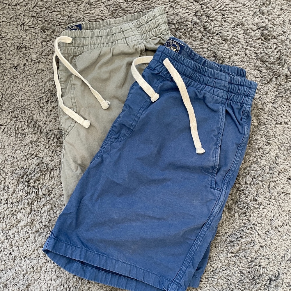 J.Crew Dock Shorts (Blue & Light Green) - Size S